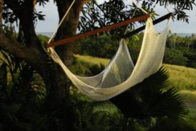 帕尔姆农场小屋-布雷斯别墅 Labasa 外观 照片