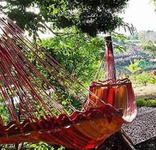 帕尔姆农场小屋-布雷斯别墅 Labasa 外观 照片