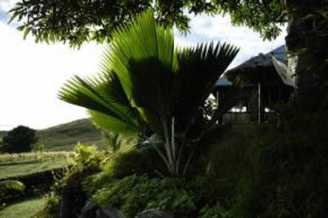 帕尔姆农场小屋-布雷斯别墅 Labasa 外观 照片