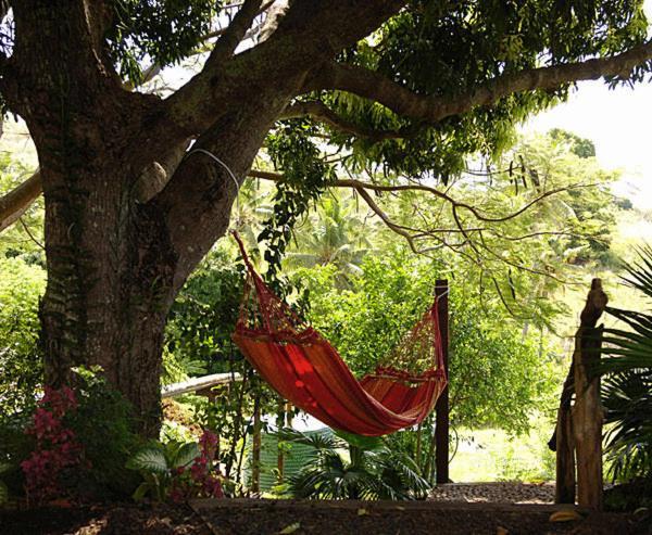 帕尔姆农场小屋-布雷斯别墅 Labasa 外观 照片