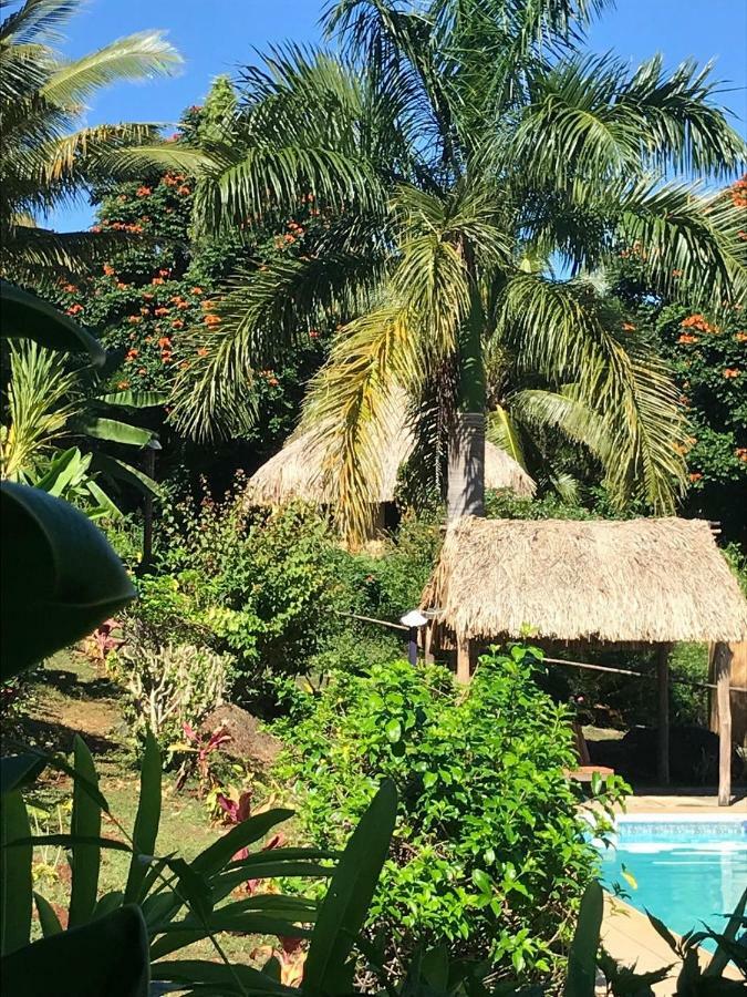 帕尔姆农场小屋-布雷斯别墅 Labasa 外观 照片