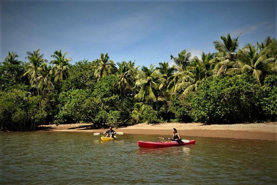 帕尔姆农场小屋-布雷斯别墅 Labasa 外观 照片